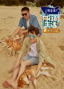 《向往的生活6 老友记》：重温友情岁月，感受田园牧歌式的慢生活治愈